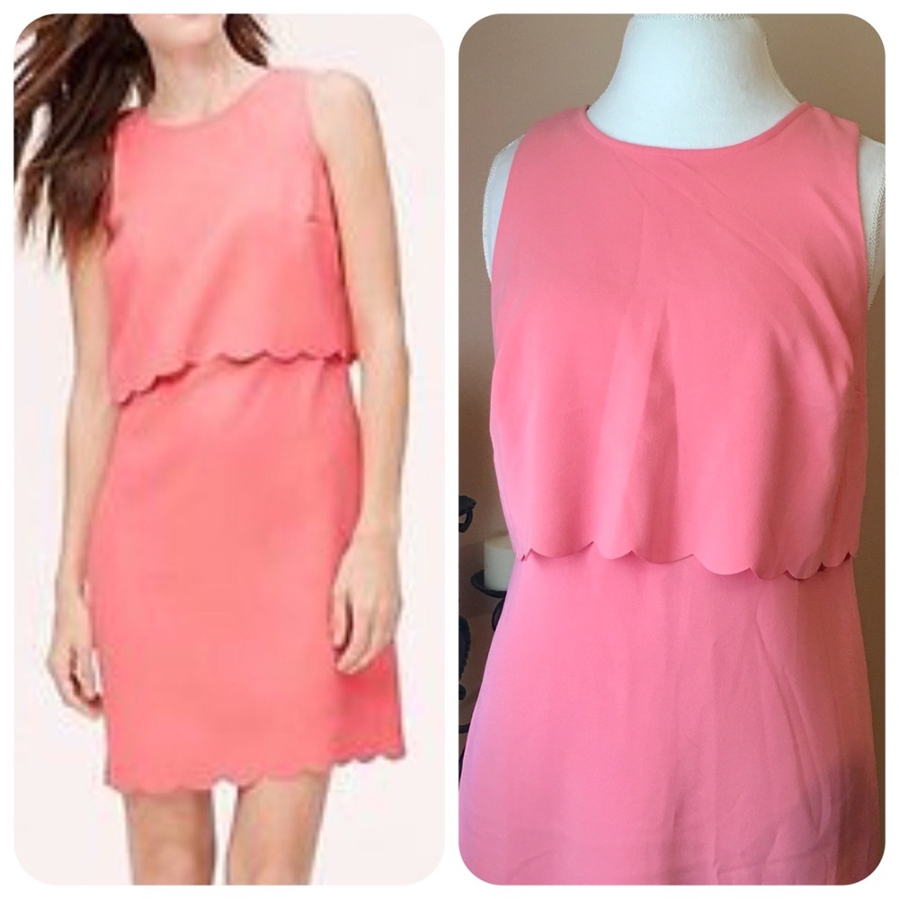 Loft Pink Scalloped Crop Illusion Dress Size 8